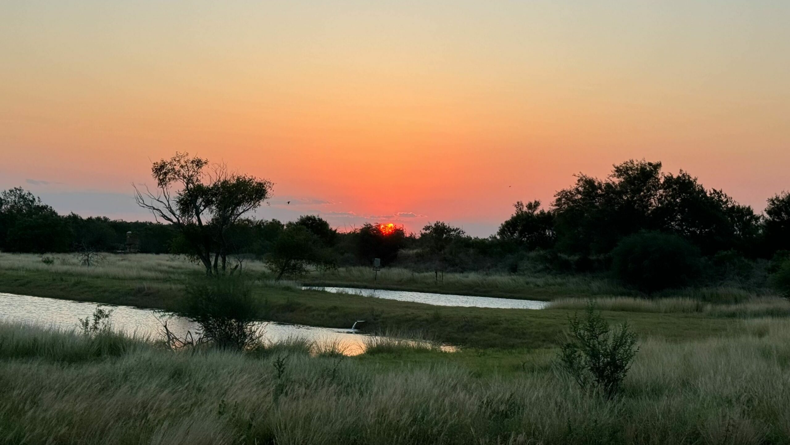 Texas Turnkey Ranches | Trap Monitoring for Ranches