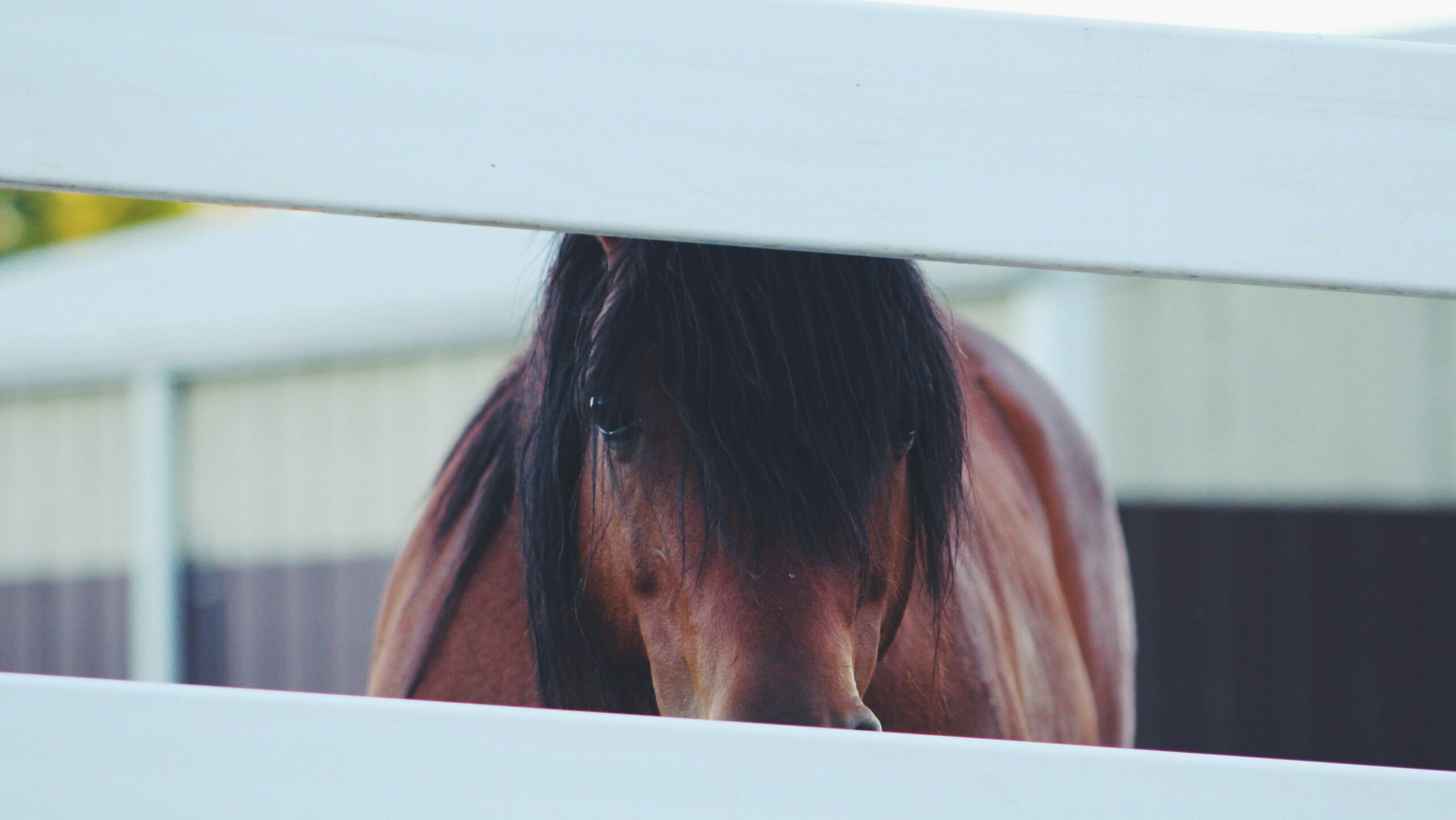 Texas Turnkey Ranch | Ranch Management is Essential