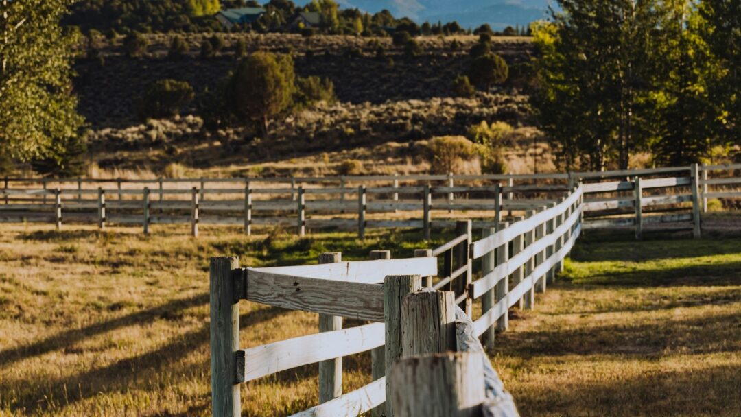 Key services in Texas ranch operations, including ranch road construction and land clearing for ranch owners.