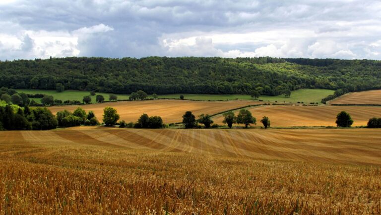 Land Leveling: A Foundation for Productive Texas Ranches